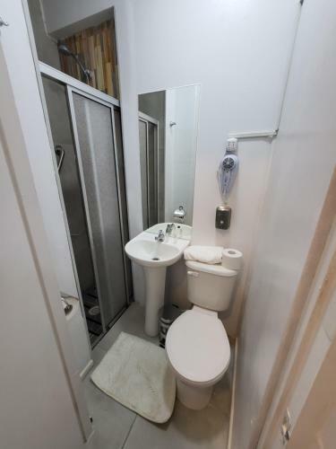 Apart Hotel De Hostal Concepci�n