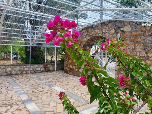 Hotel Dilek A?ac? Butik Otel - Karaburun