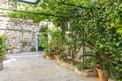 Hostal Apartment Silvana