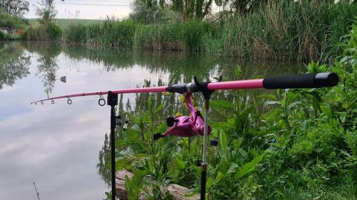 The Moat Lake Glamping Pod