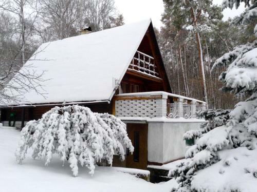 Lodge Holiday Cottage V Borov�
