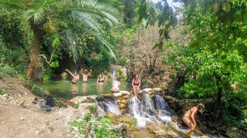Tribe Aqua A Nature Retreat Above Neer Waterfall