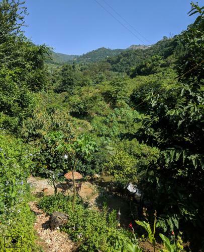 Tribe Aqua A Nature Retreat Above Neer Waterfall