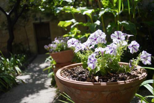 Bed & Breakfast Dimora Villani