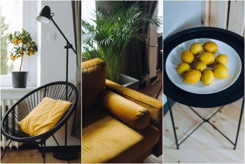Apartamento Loft 23