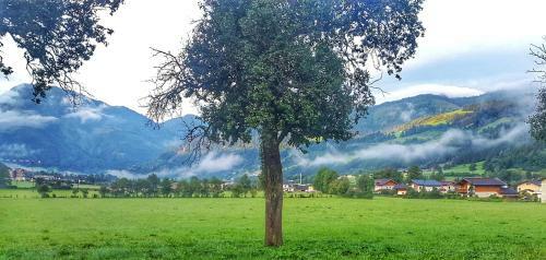 Agroturismo Urlaub Am Bauernhof Rothof