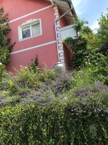Apartamento Pension Hadanig