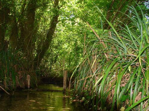 Mettez Vous Au Vert Au C?ur De La Charente Maritime
