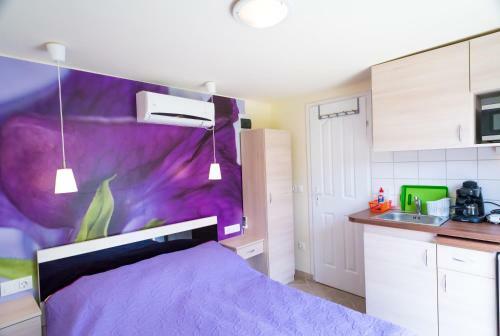 Orgona Apartman- �s Nyaral�h�z
