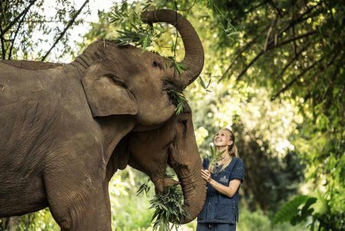 Hotel Anantara Golden Triangle Elephant Camp & Resort