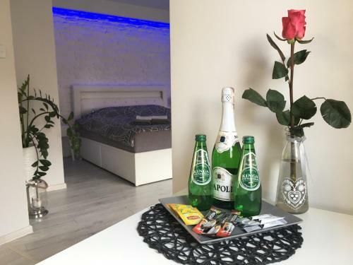 Coco Love Adults Only Apartament Szczecin