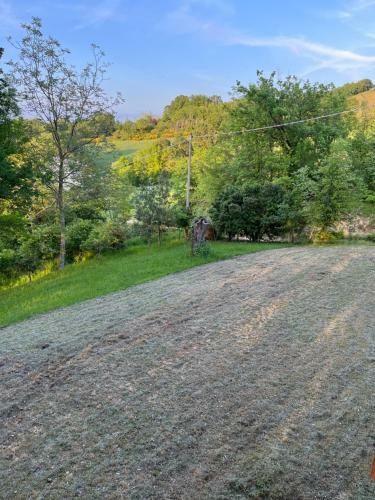 Casa Singola Immersa Nel Verde
