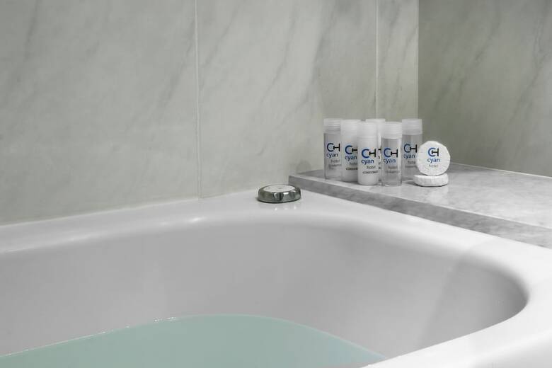 Cyan Americas Towers Hotel