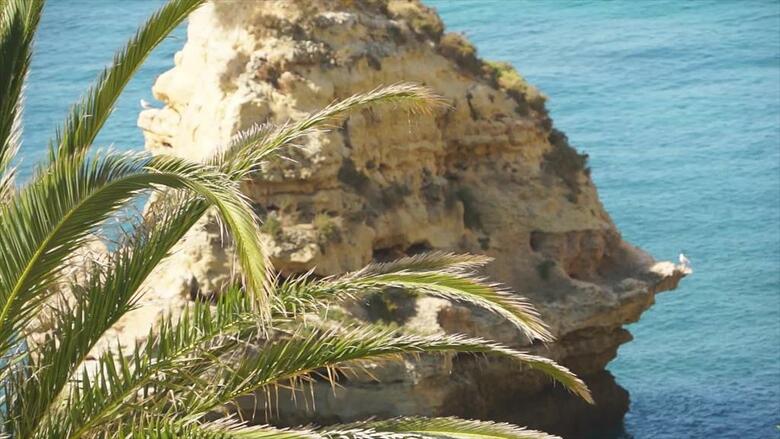 Hotel Tivoli Carvoeiro