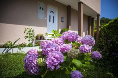 Apartamentos Kuca Bulajic