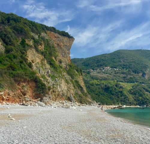 Apartmani Budva - Jaz
