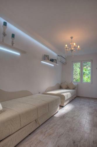 Hostal Domador Rooms & Apartments