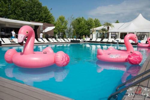Apartament Paris