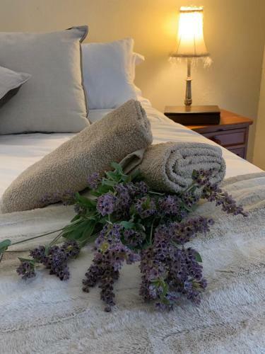 Hostal Douglas Villas