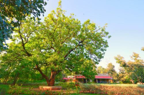 Hotel Bundela Bandhavgarh By Octave