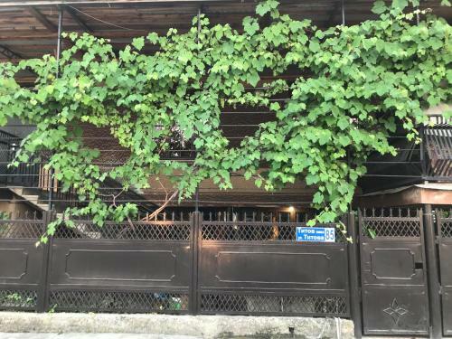 Hostal Guest House Mandarin On Titova 85