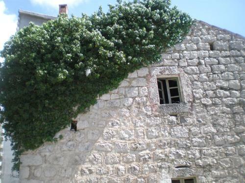 Villa Lidija