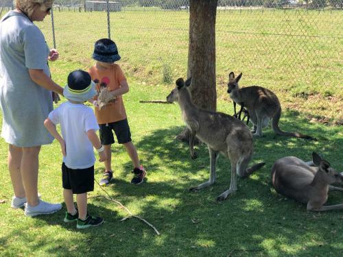 Beach & Bay Holiday Rental - Nelson Bay
