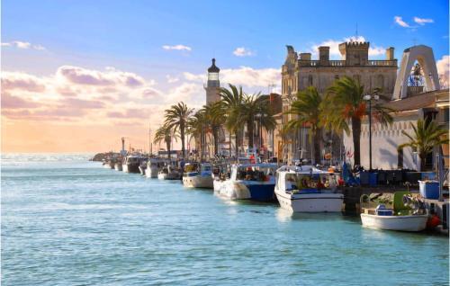 Nice Apartment In Le Grau Du Roi With 1 Bedrooms