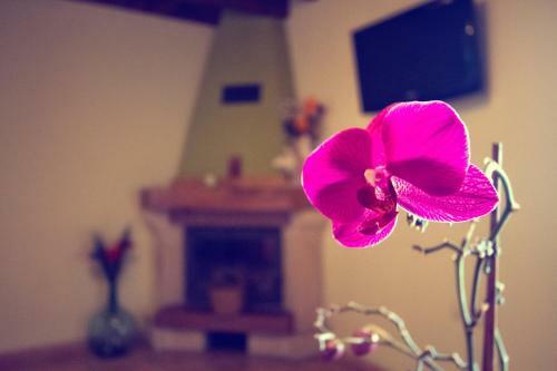 Agroturismo Casas Los Cantores