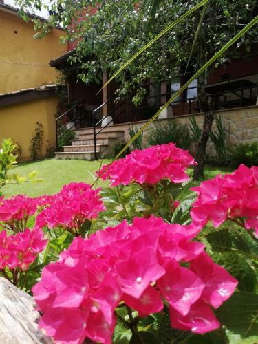 Agroturismo Casas Los Cantores