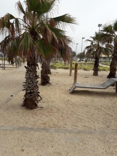Comfortable Apartment In Ashdod, 7 Min Walk To The Beach