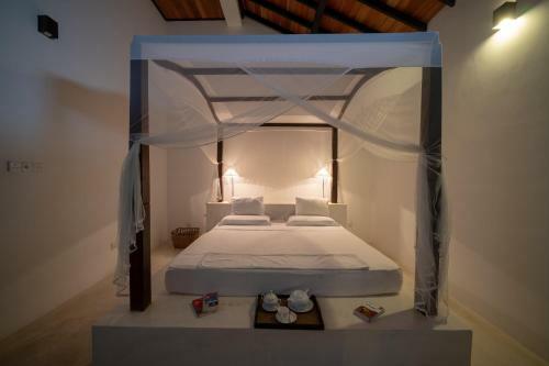 Greenparrot-villa