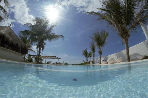 Hotel Dolphin Beach