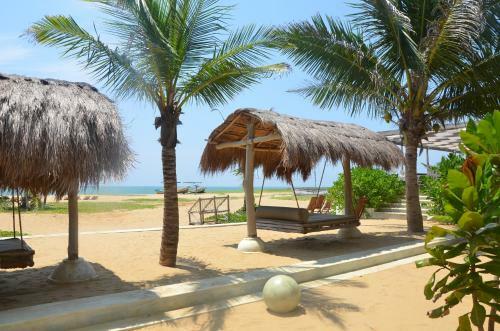 Hotel Dolphin Beach