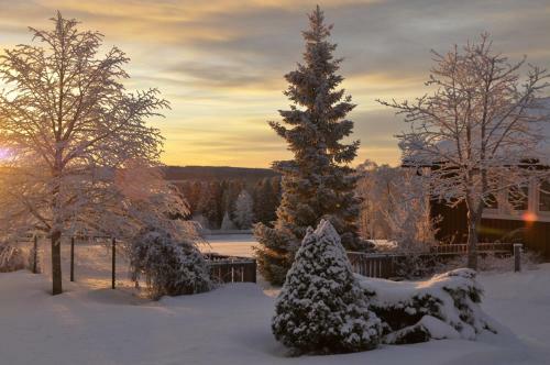 L�ng�nge Bed & Breakfast