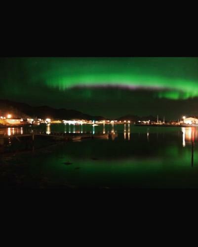 Apartamento Lofoten Hostel Ballstad - The Blue Pearl