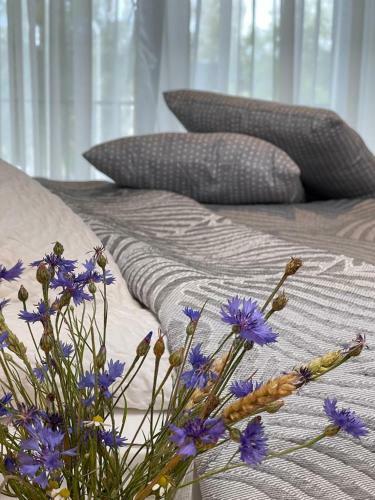 Apartamento Albatross_kesterciems_latvia