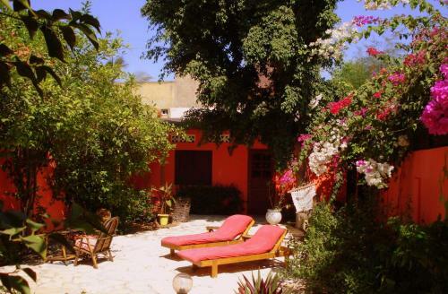 Bed & Breakfast Baobab Belge