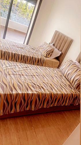 Apartamento Appartement De Lux A Tamaris