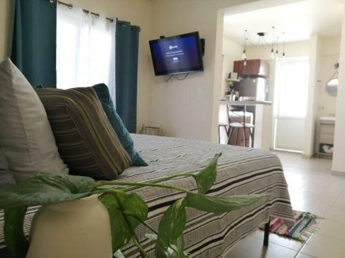Apartamento Coromuel, Loft C�ntrico A 5 Min. Del Malec�n!!