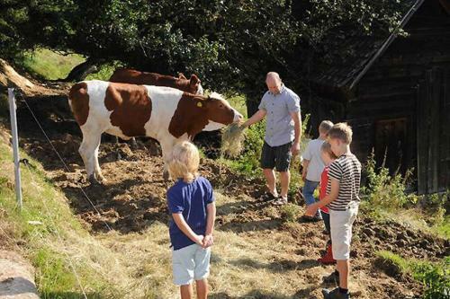 Exenbacher Hof Traumbauernhaus S�haisl