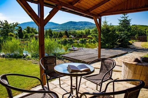 Hostal Amenity Penzion Horni Vestonice