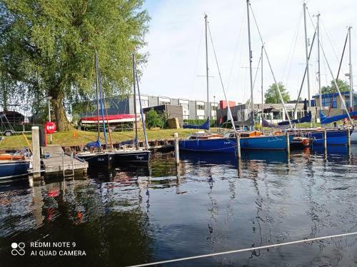 Characteristic Boat Near Amsterdam In Beautiful Harbor