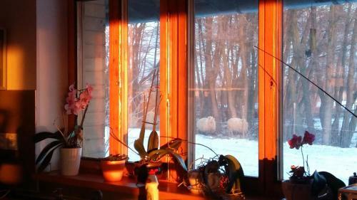 Hostal Banarka - Penzion, Camping, Caravan Park, Enduro