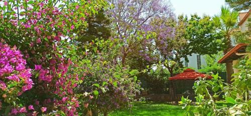Villa Simba - Near Calis Beach With Garden & Pool