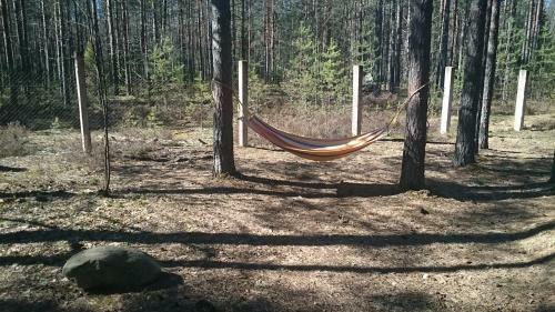 Cottage In Yagodnoye