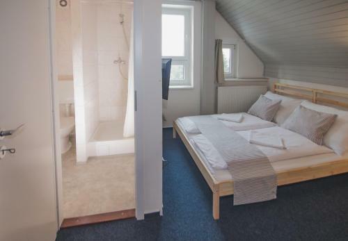 Hostal Pension Pod Vlekem