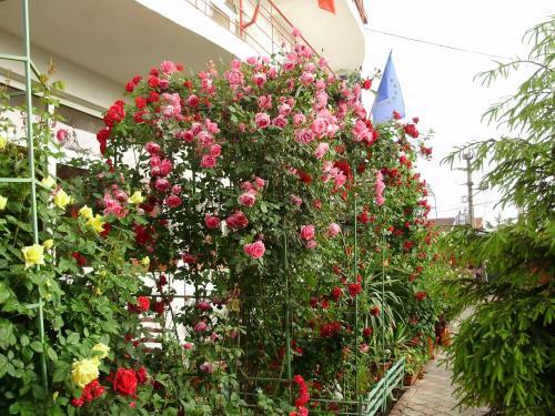 Hostal Pension Casa Margo