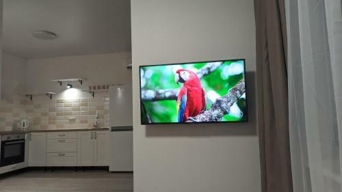 Apartamento ???????? ?????? ????????? Apt Odeassa Basseinaya