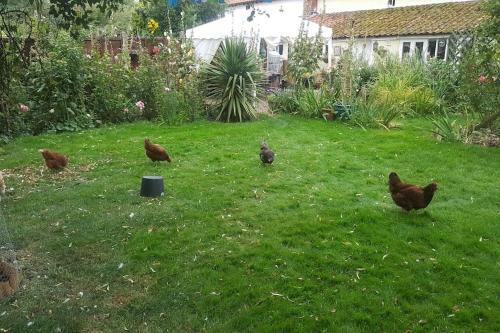 Apartamento West Cottage Cosy Bedsit Stay.